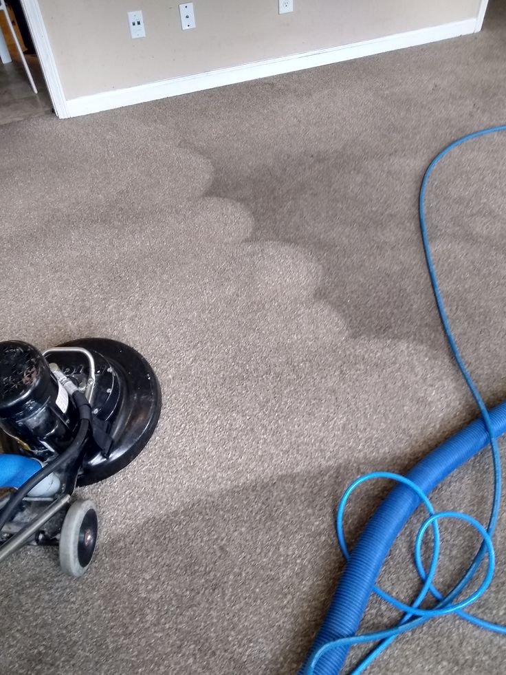 Carpet Cleaning