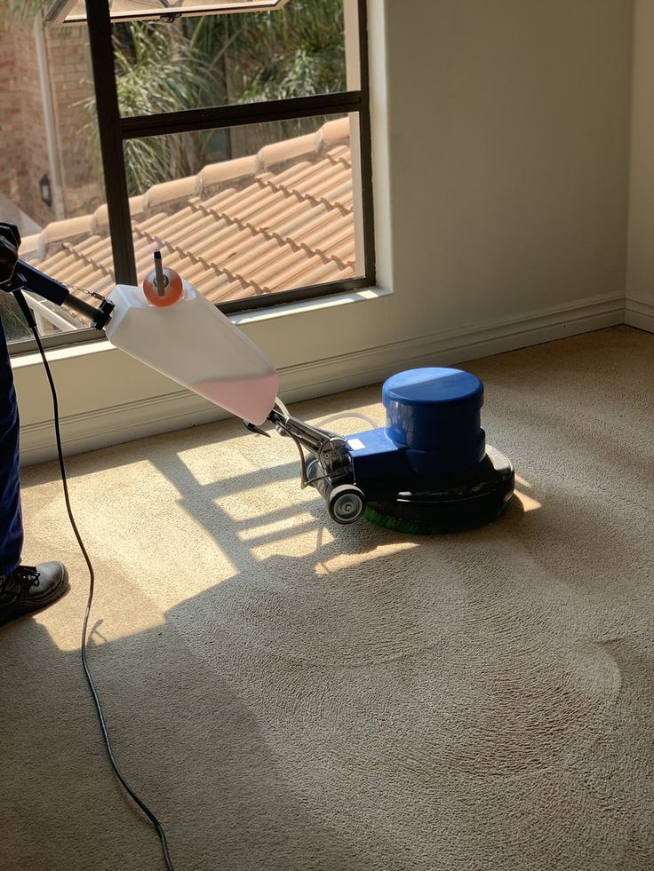 Carpet Cleaning