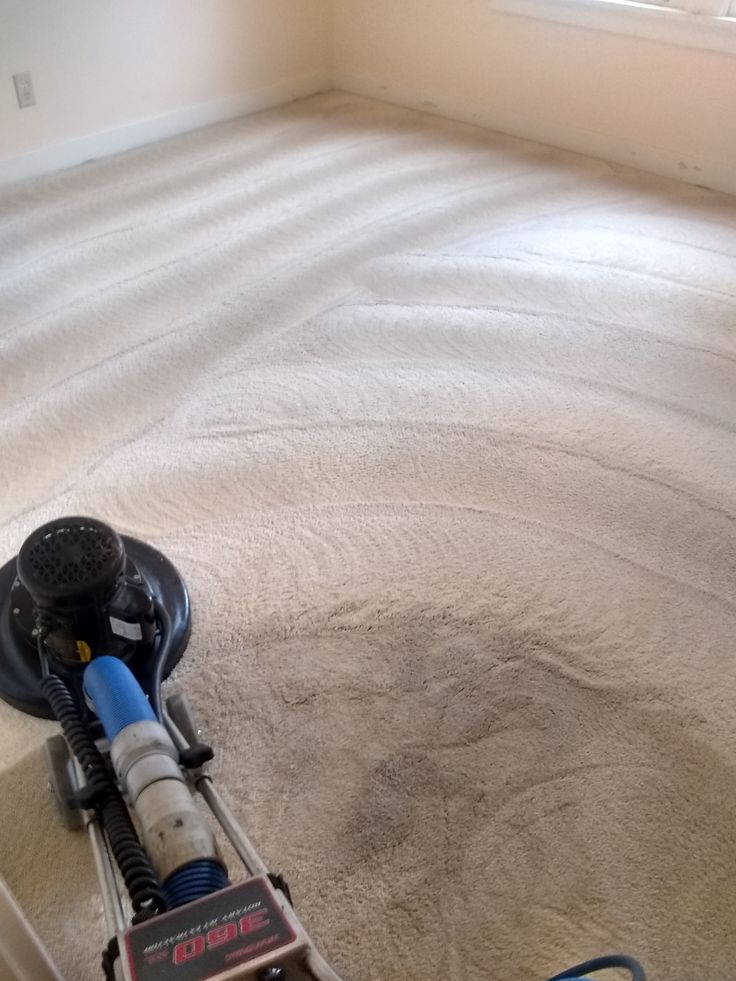 Carpet Cleaning