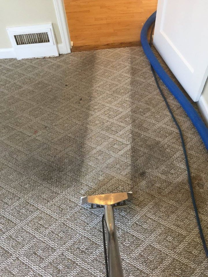 Carpet Cleaning